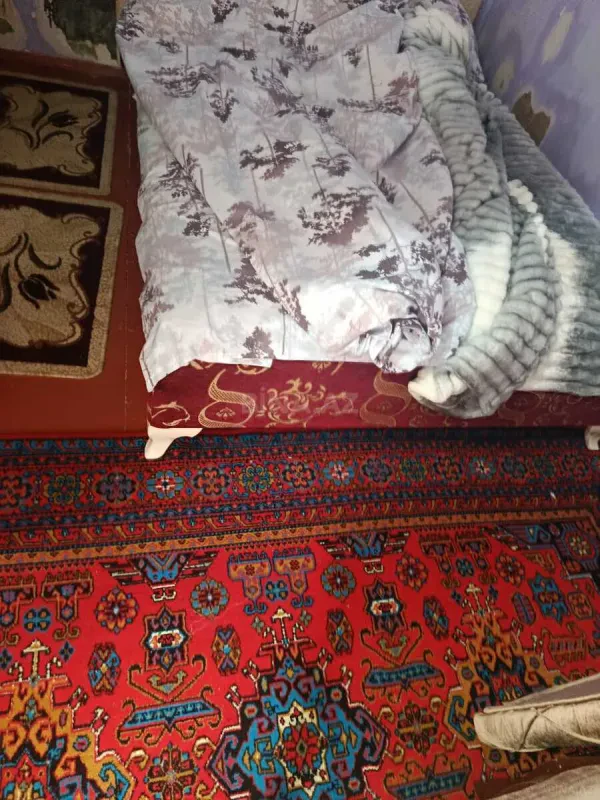 Kirayə verilir 2 otaqlı mənzil 40 m²