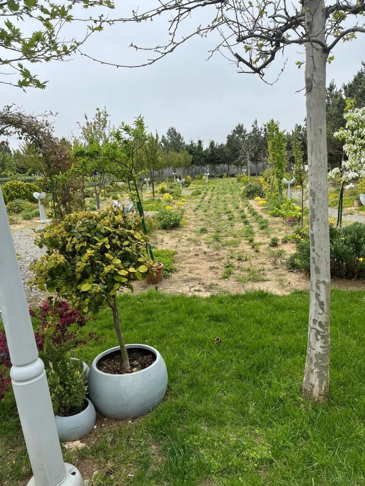 Satılır torpaq sahəsi 15 m²