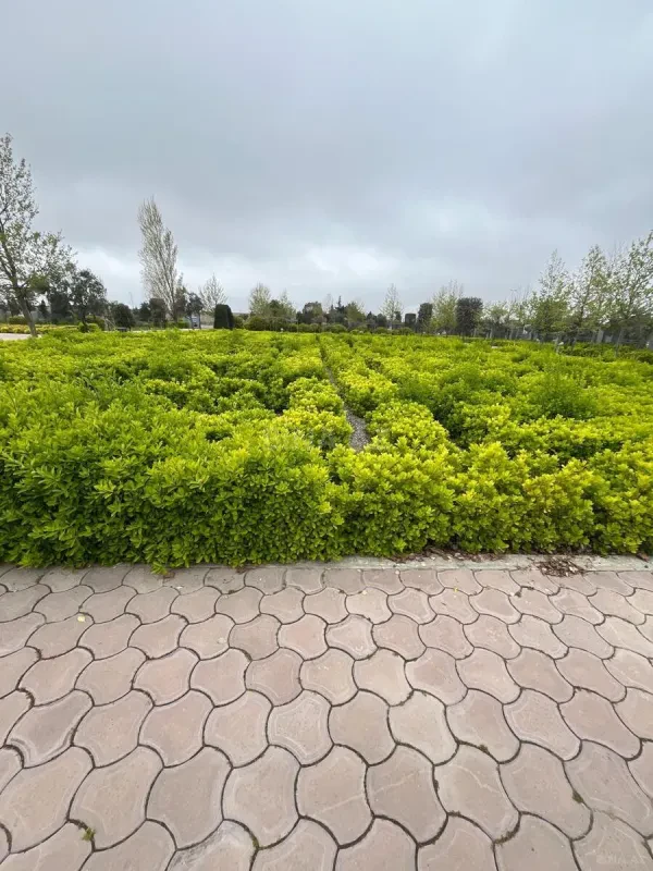Satılır torpaq sahəsi 15 m²