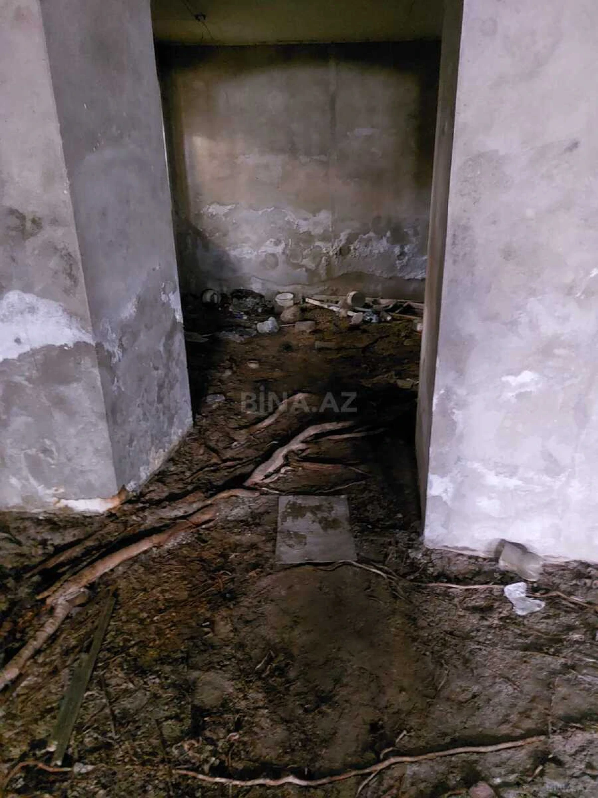 Satılır obyekt 99 m²
