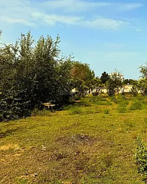 Satılır torpaq sahəsi 25 m²