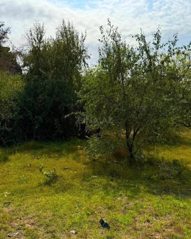 Satılır torpaq sahəsi 25 m²