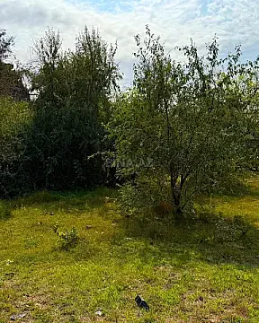 Satılır torpaq sahəsi 25 m²