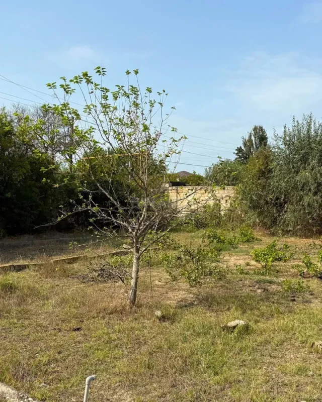 Satılır torpaq sahəsi 25 m²