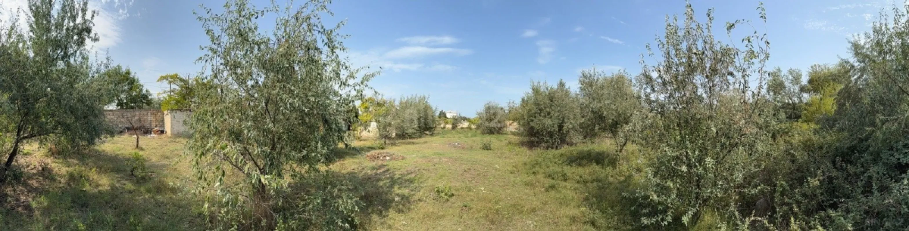 Satılır torpaq sahəsi 25 m²