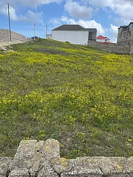 Satılır torpaq sahəsi 10 m² — Bakı 10.00 m²
