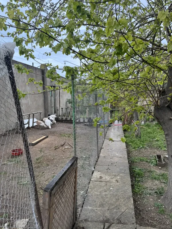 Satılır 11 otaqlı həyət evi 630 m²