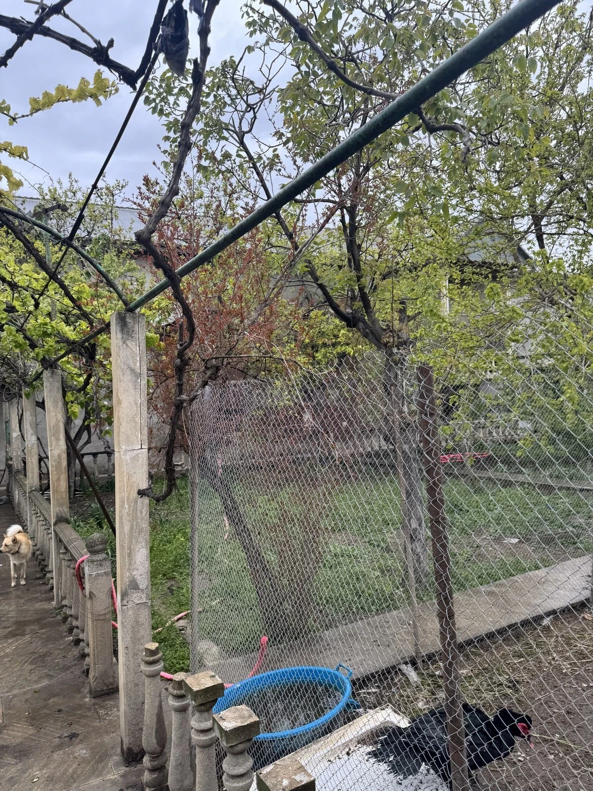 Satılır 11 otaqlı həyət evi 630 m²