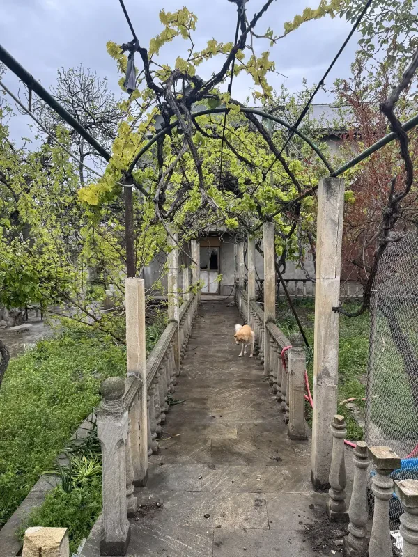 Satılır 11 otaqlı həyət evi 630 m²