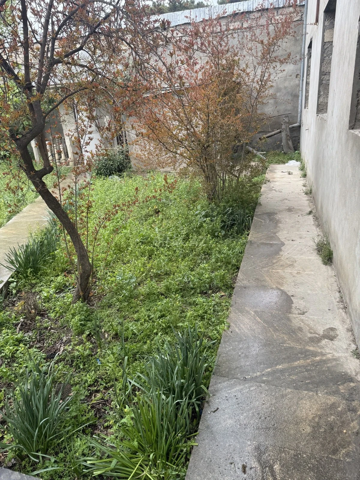 Satılır 11 otaqlı həyət evi 630 m²