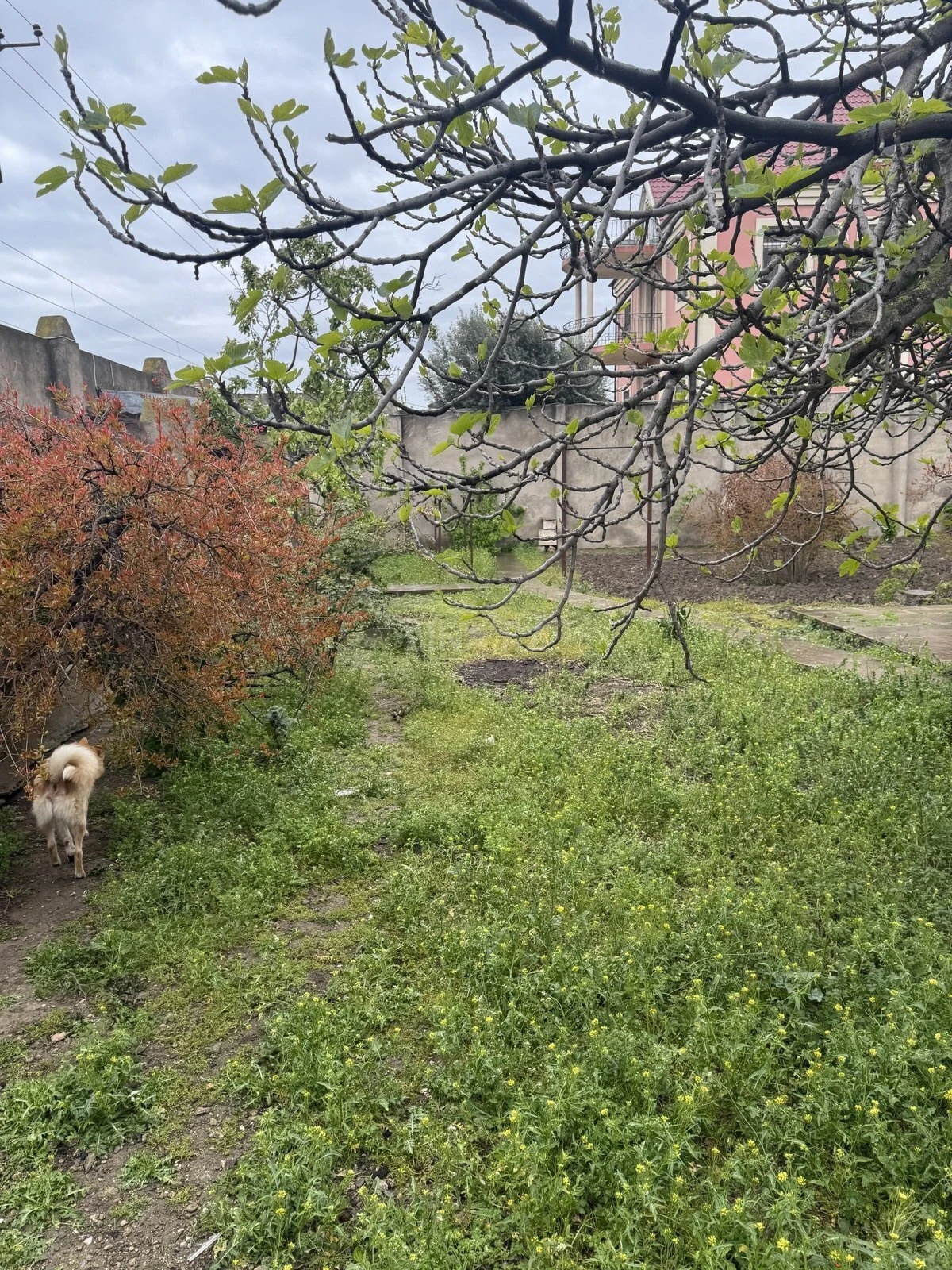 Satılır 11 otaqlı həyət evi 630 m²