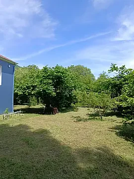 Kirayə verilir 4 otaqlı həyət evi 140 m² — Qəbələ 4 otaq 140.00 m²