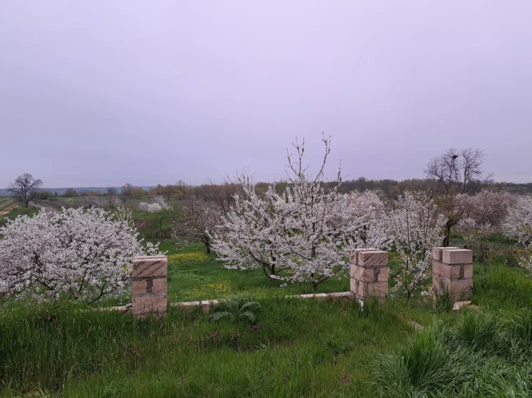 Satılır 8 otaqlı həyət evi 221 m²