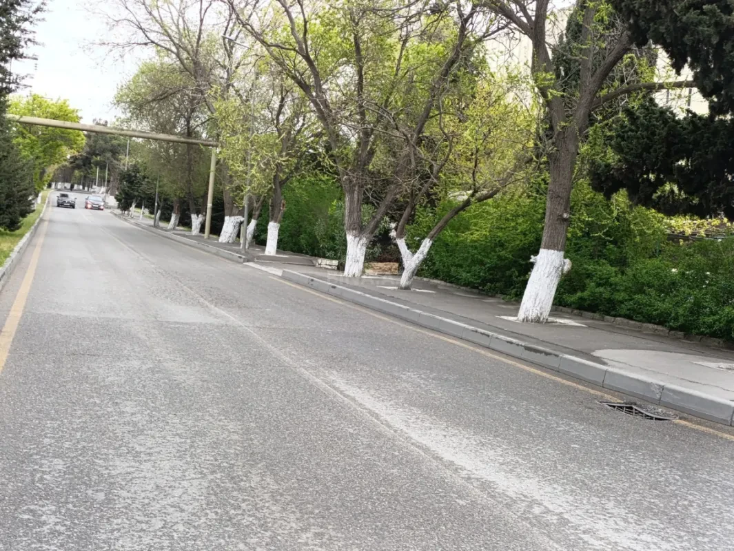 Satılır 3 otaqlı həyət evi 65 m²