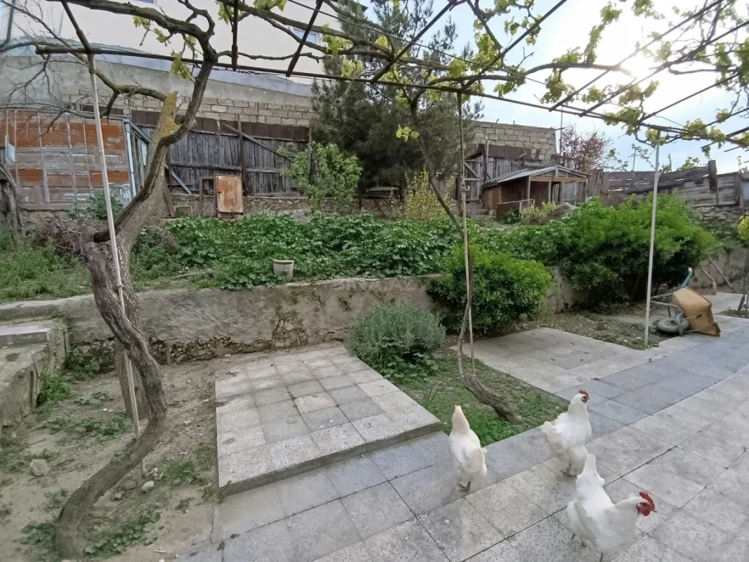 Satılır 3 otaqlı həyət evi 65 m²