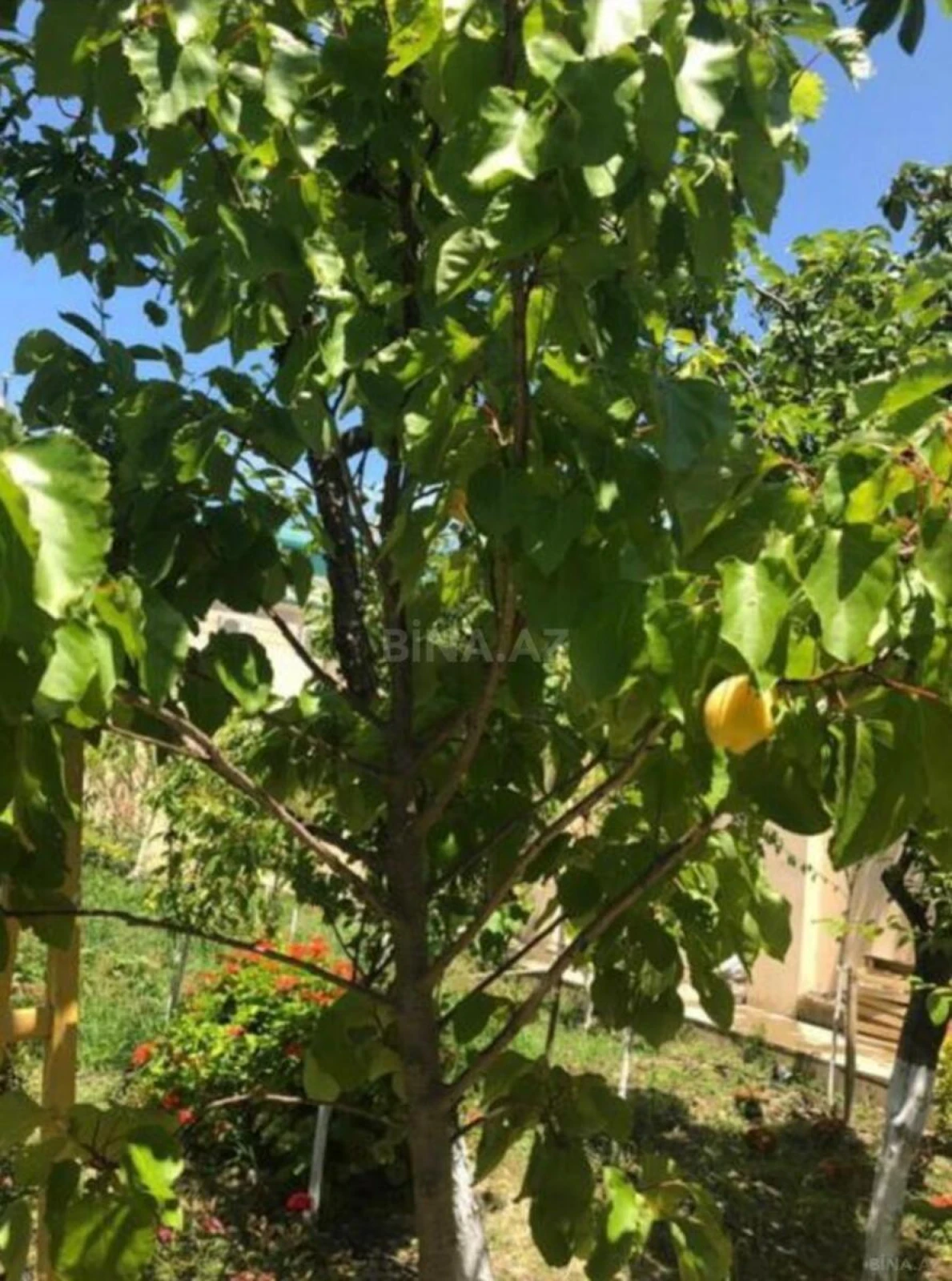 Kirayə verilir 9 otaqlı həyət evi 300 m²