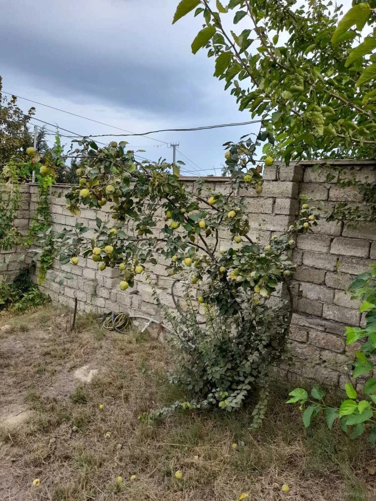 Satılır 4 otaqlı həyət evi 157 m²