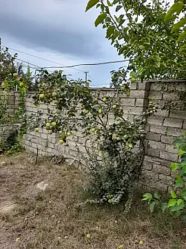 Satılır 4 otaqlı həyət evi 157 m²