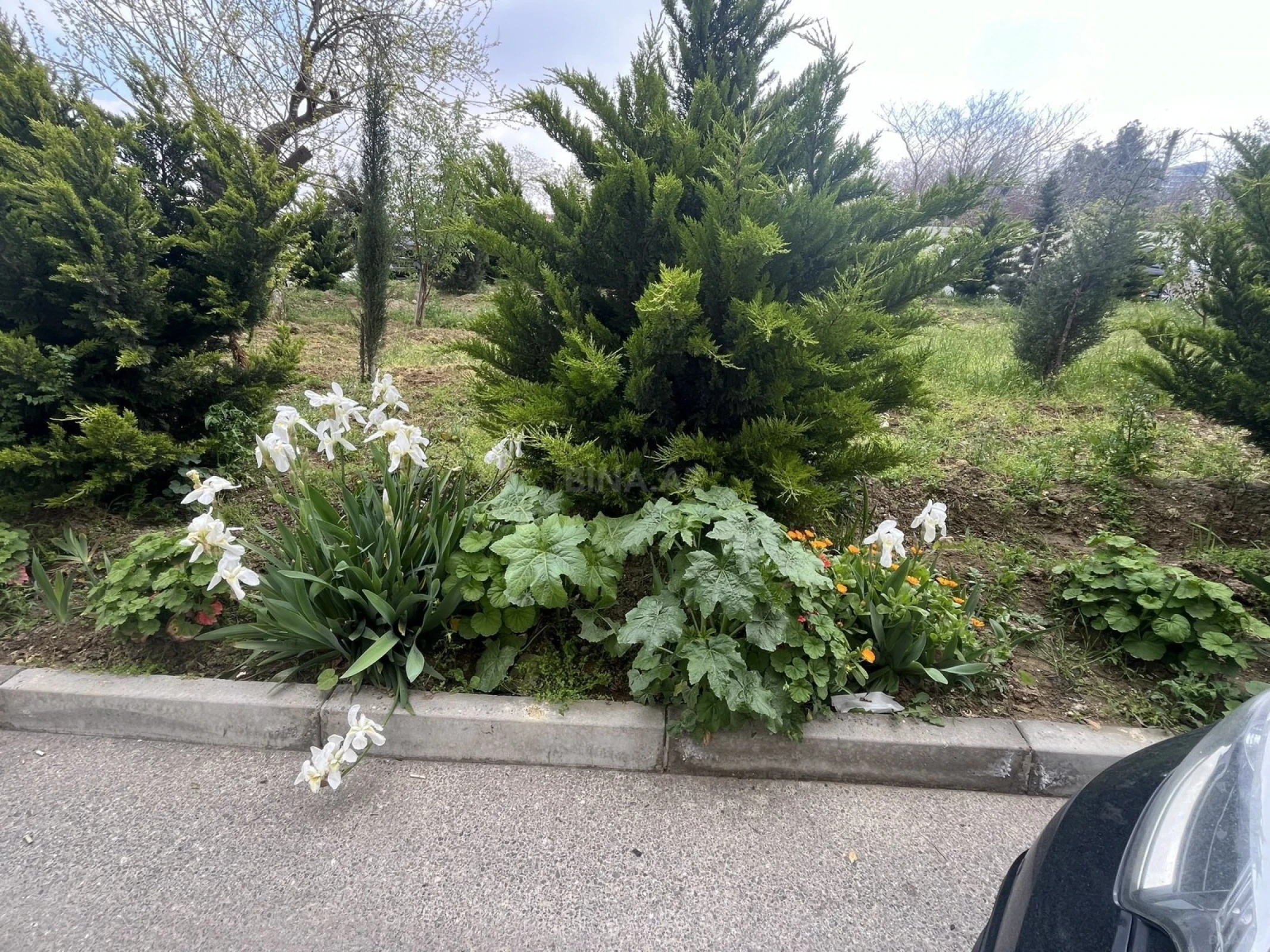 Satılır 2 otaqlı mənzil 97 m²