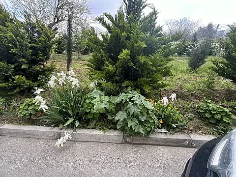 Satılır 2 otaqlı mənzil 97 m²