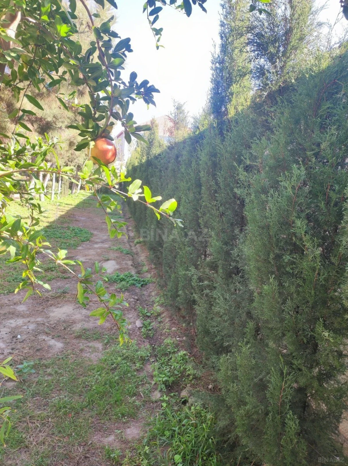 Satılır 4 otaqlı həyət evi 160 m²