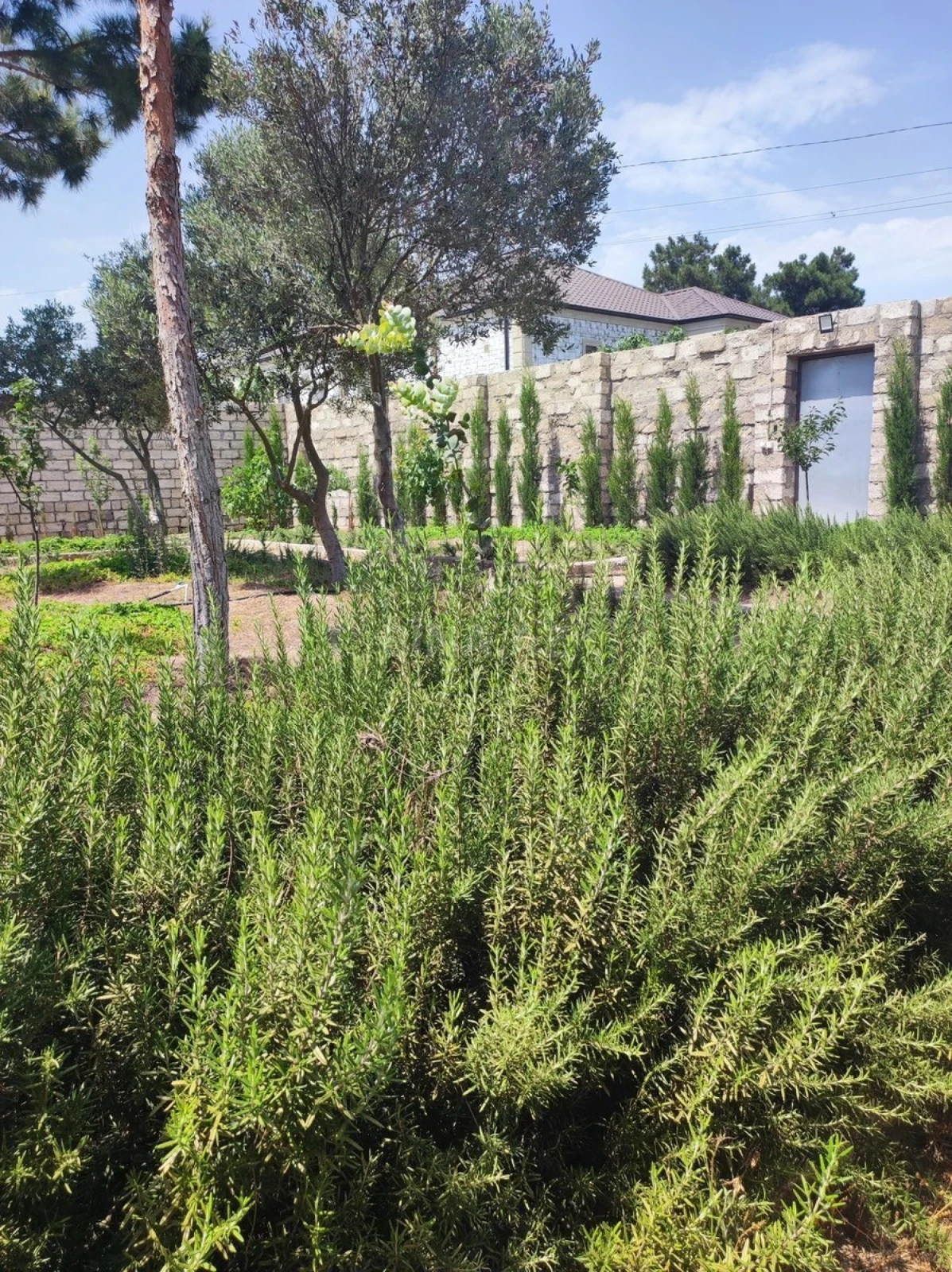 Satılır 4 otaqlı həyət evi 160 m²