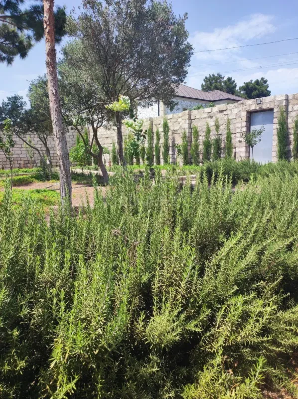 Satılır 4 otaqlı həyət evi 160 m²