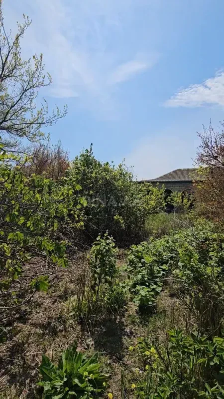 Kirayə verilir 3 otaqlı həyət evi 250 m²