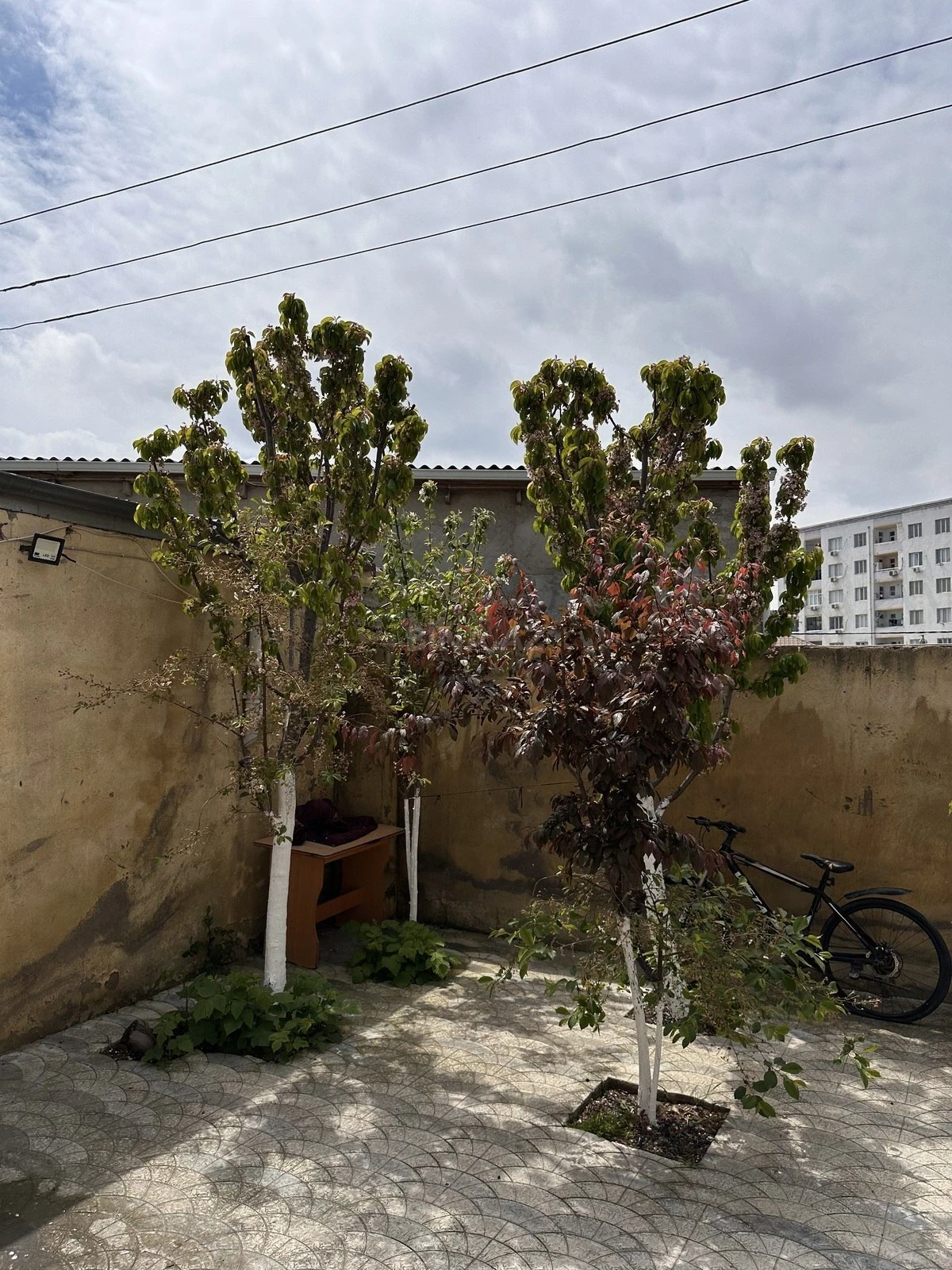 Satılır 3 otaqlı həyət evi 90 m²
