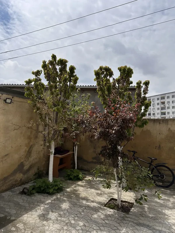 Satılır 3 otaqlı həyət evi 90 m²