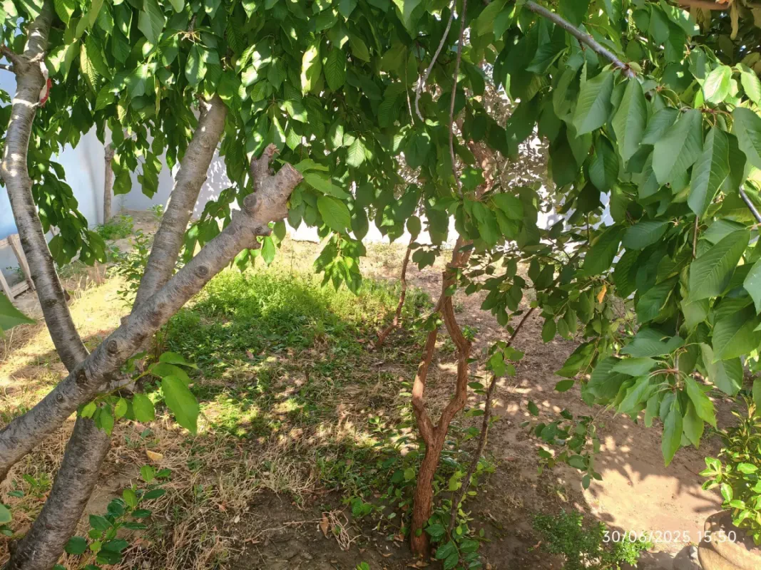 Satılır 4 otaqlı həyət evi 125 m²