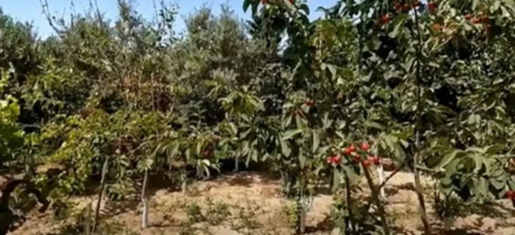 Satılır torpaq sahəsi 12 m²