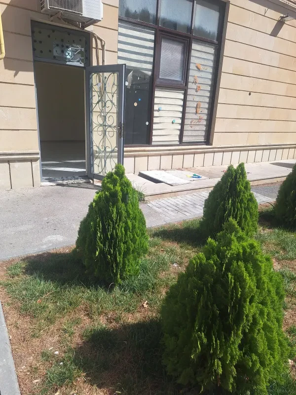 Kirayə verilir obyekt 80 m²