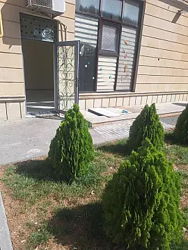 Kirayə verilir obyekt 80 m²