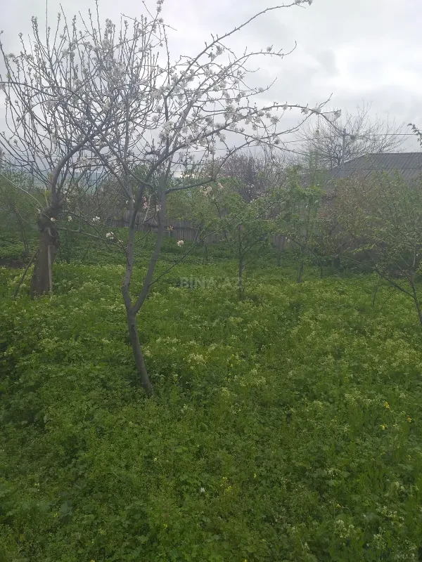 Satılır torpaq sahəsi 8 m²