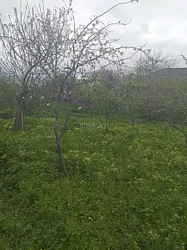 Satılır torpaq sahəsi 8 m² — İsmayıllı 8.00 m²