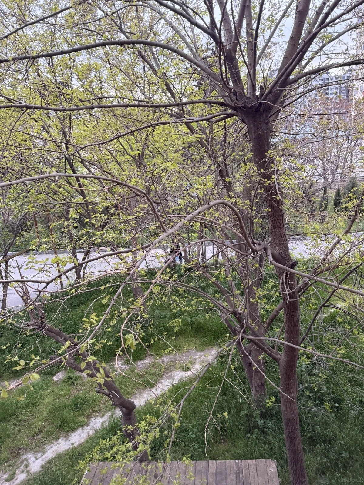 Satılır 2 otaqlı mənzil 65 m²