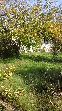 Satılır 3 otaqlı həyət evi 65 m²