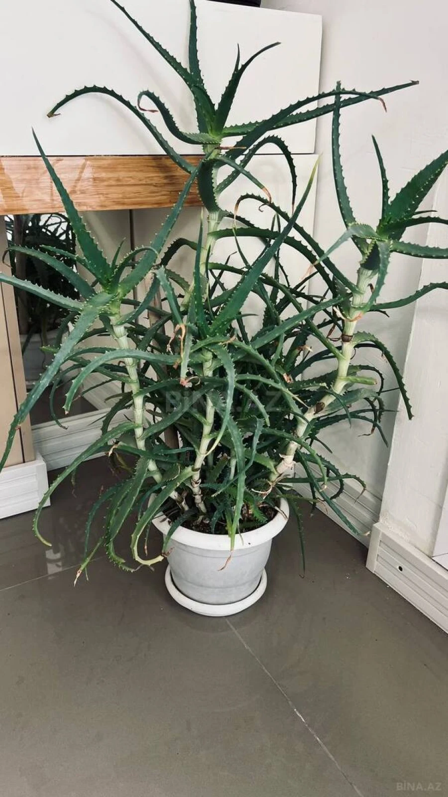 Kirayə verilir 3 otaqlı həyət evi 80 m²