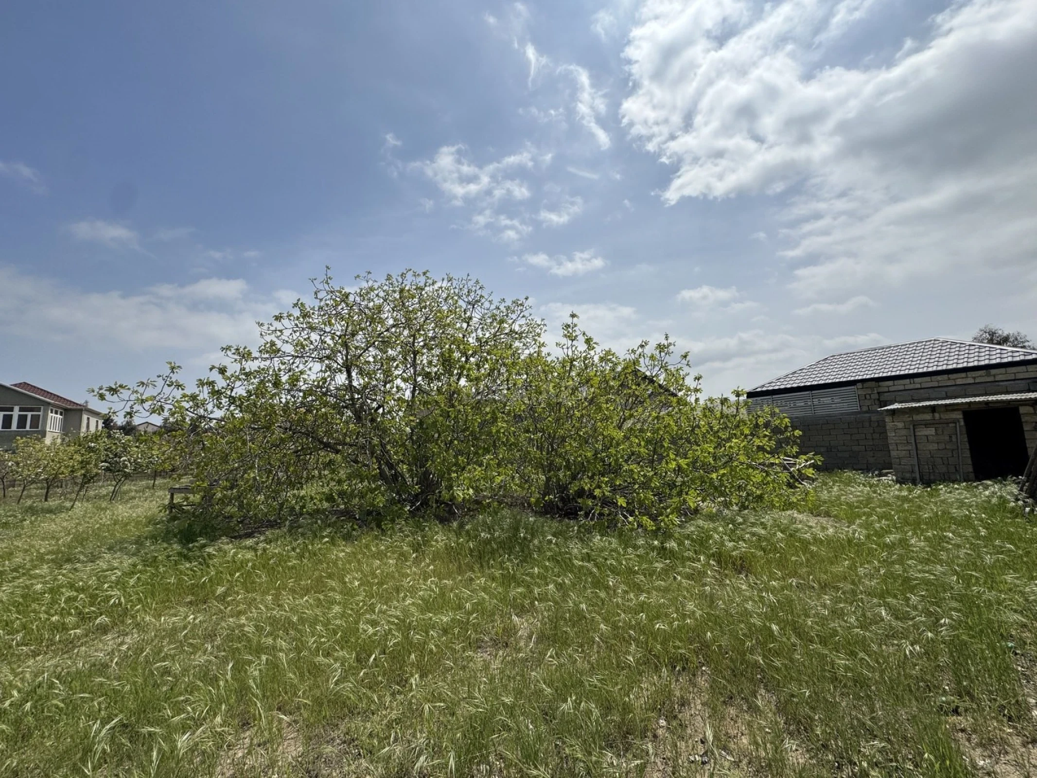 Satılır torpaq sahəsi 8 m²