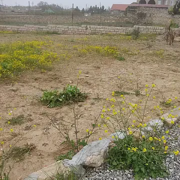 Satılır torpaq sahəsi 4 m² — Bakı 4.00 m²