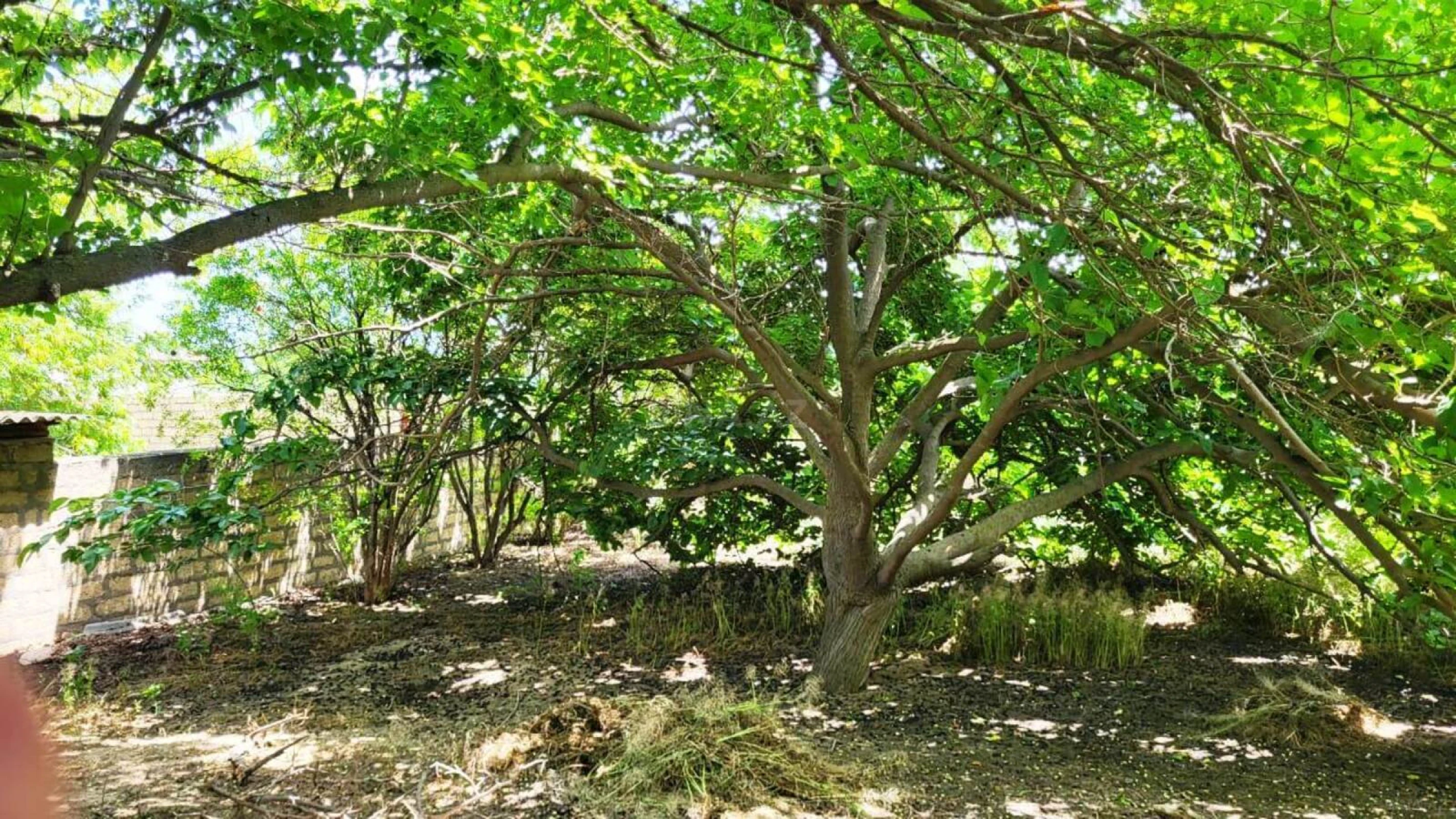 Satılır 5 otaqlı həyət evi 160 m²