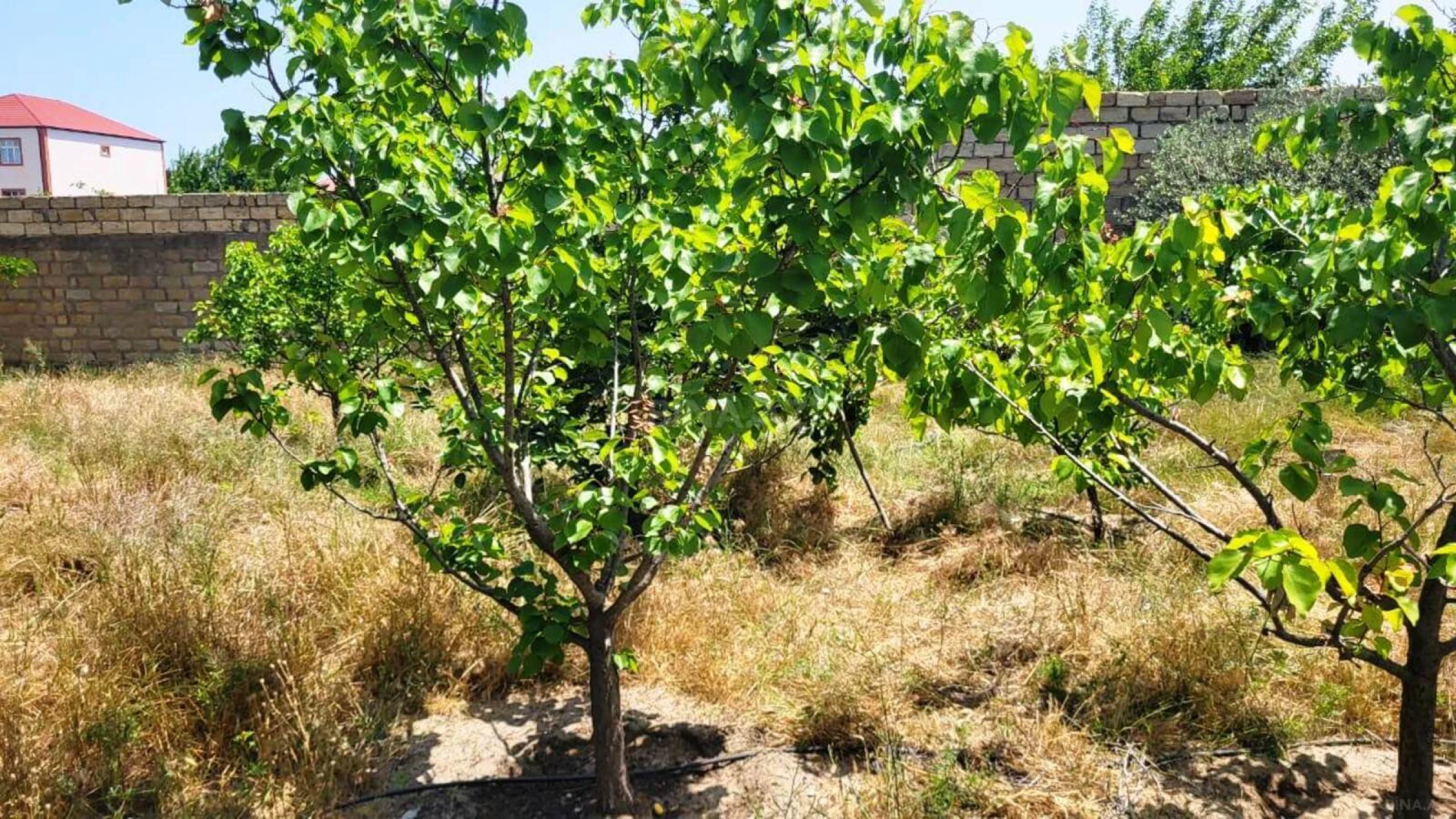 Satılır 5 otaqlı həyət evi 160 m²