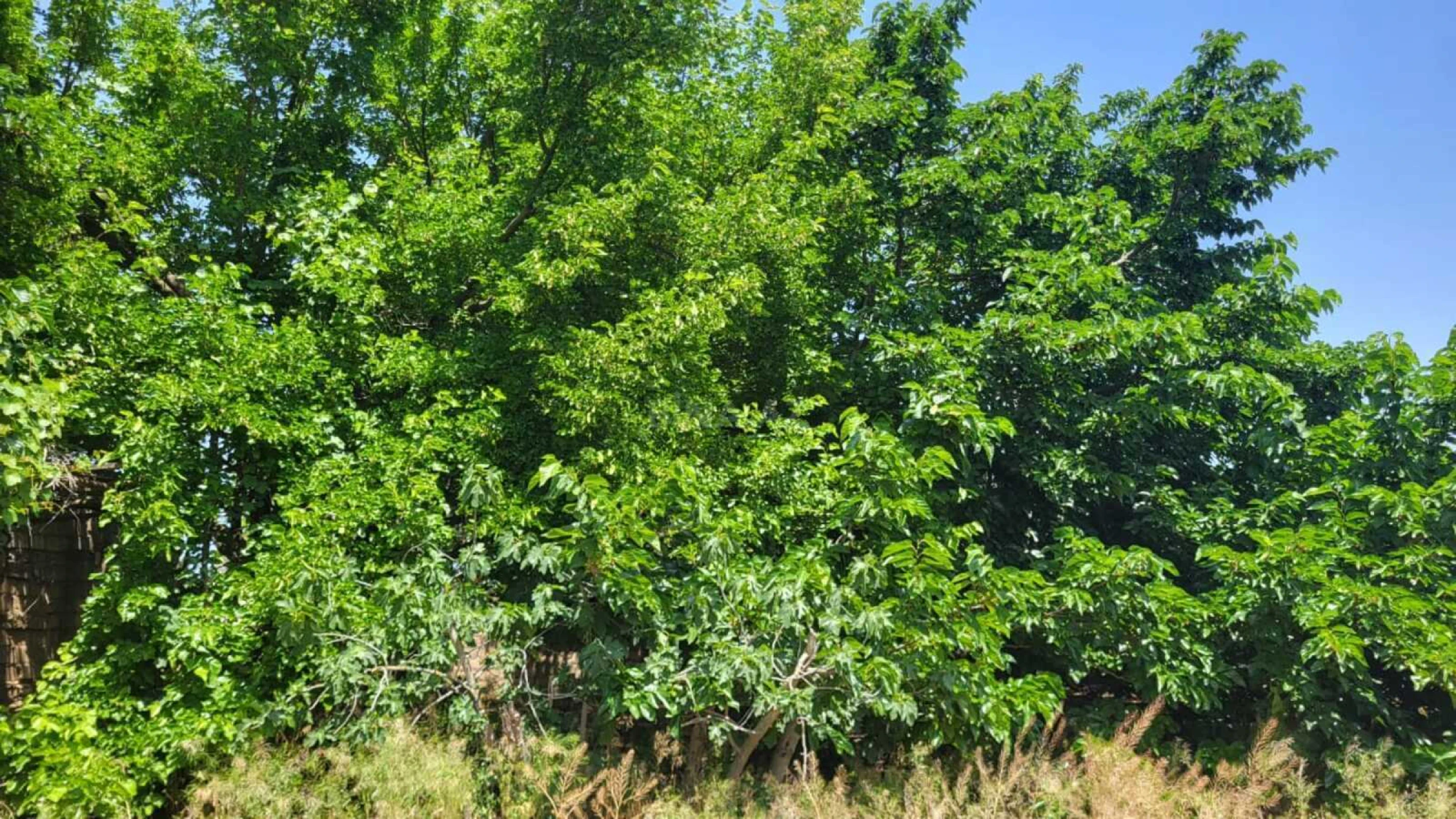 Satılır 5 otaqlı həyət evi 160 m²