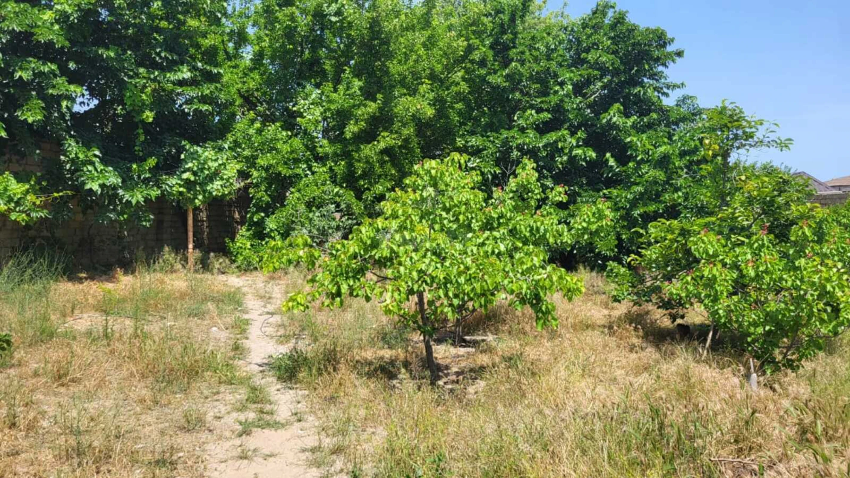 Satılır 5 otaqlı həyət evi 160 m²