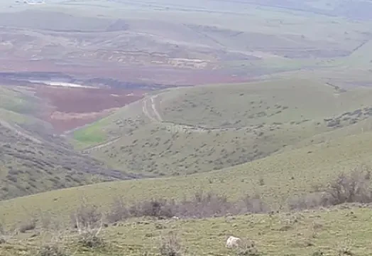 Satılır torpaq sahəsi 100 m² — Şabran 100.00 m²