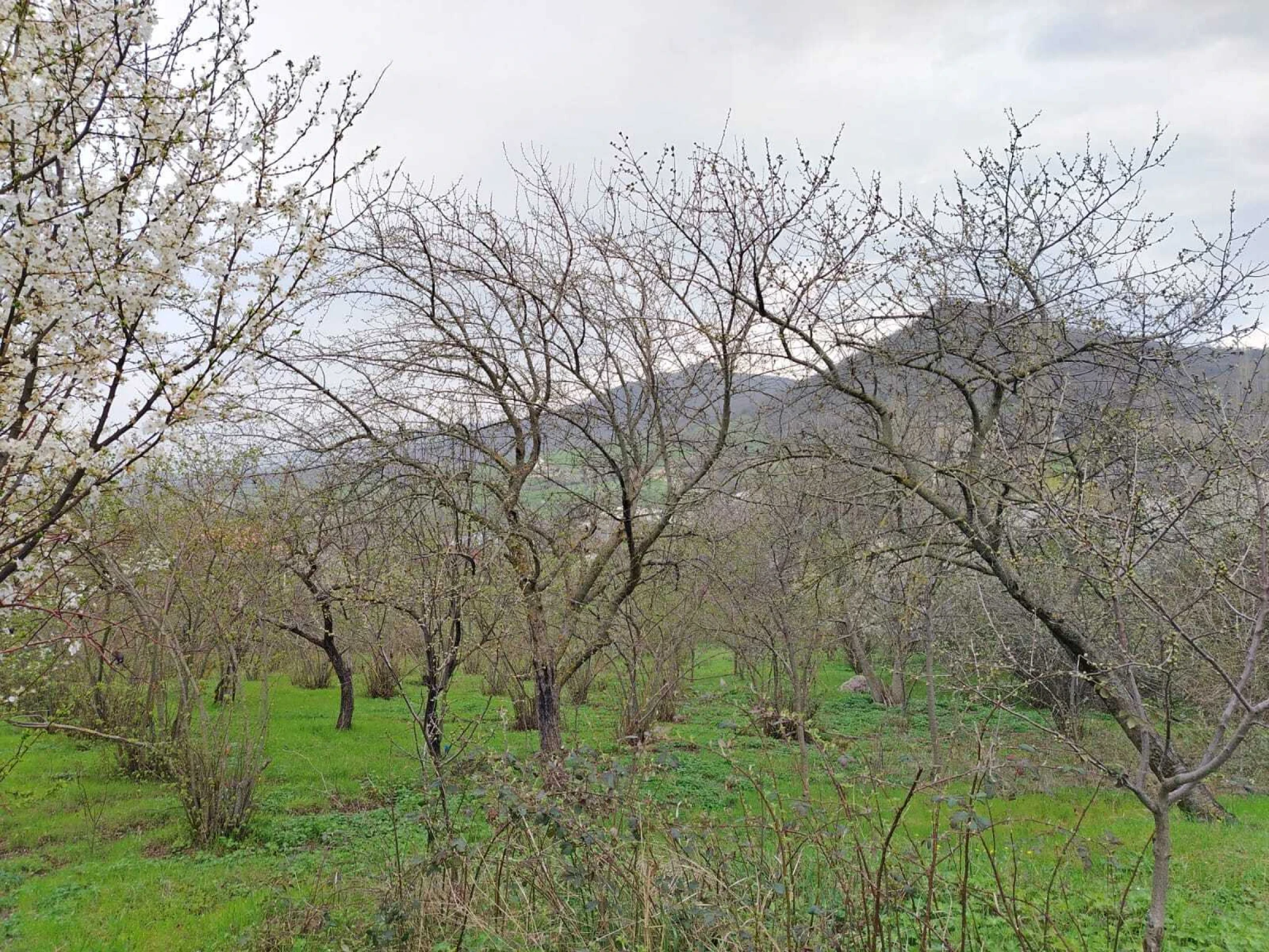 Satılır torpaq sahəsi 1 m²
