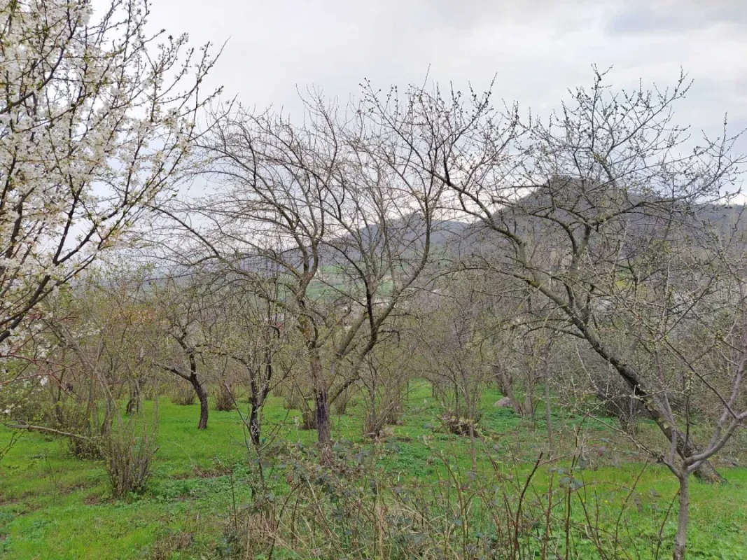 Satılır torpaq sahəsi 1 m²