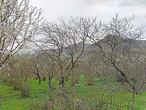 Satılır torpaq sahəsi 1 m²