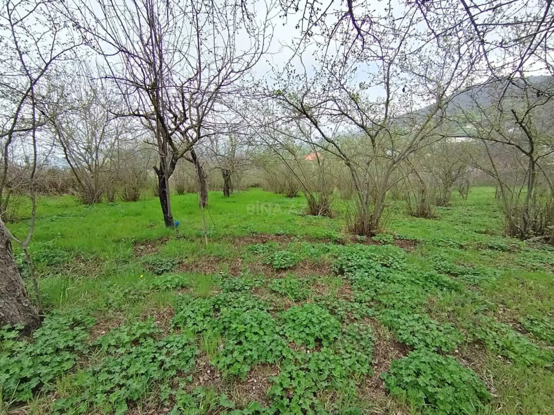 Satılır torpaq sahəsi 1 m²